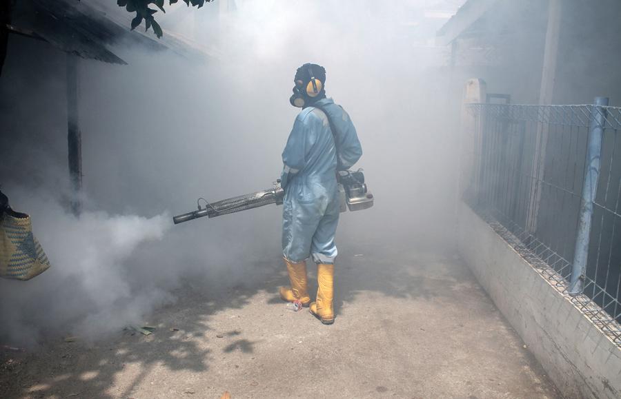 We wrześniu 2016 roku w Lhokseumawe w Indonezji przeprowadzono fumigację komarów, aby zatrzymać rozprzestrzenianie się wirusa Zika.