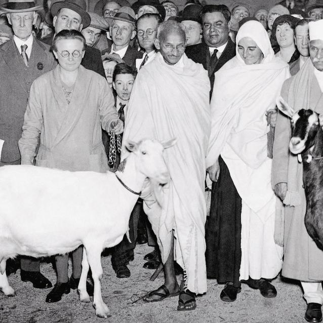 Mahatma Gandhi twierdził, że o poziomie moralnym narodu świadczy jego stosunek do zwierząt.