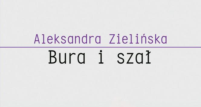 Książka Bura i szał