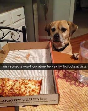 Chciałbym, żeby ktoś spojrzał na mnie tak jak mój pies patrzy na pizzę...