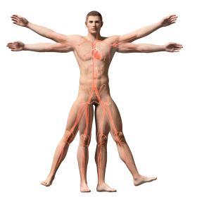 W ostatnich 30 latach nastąpił tak gwałtowny skok w kardiologii interwencyjnej, że przy wielu zabiegach skalpel okazał się niepotrzebny.