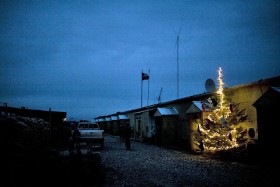 Choć w Ghazni dominowały sztuczne choinki, ta akurat jest naturalna