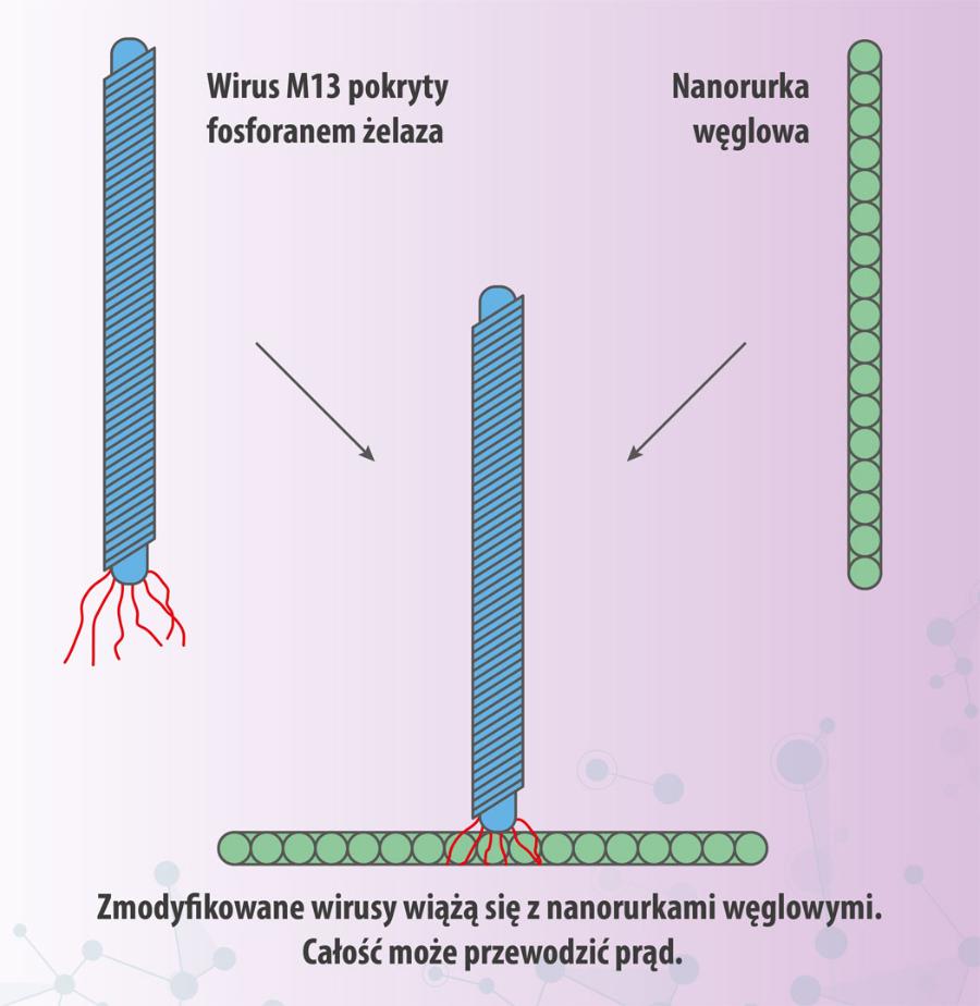 Wirusowa elektrownia.