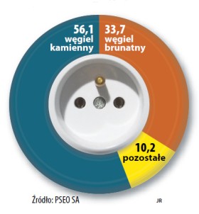 Prąd z kamienia. Pochodzenie energii elektrycznej w Polsce w czerwcu 2010r