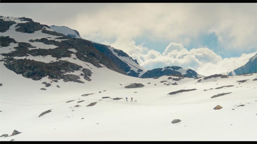 Fot. materiały prasowe