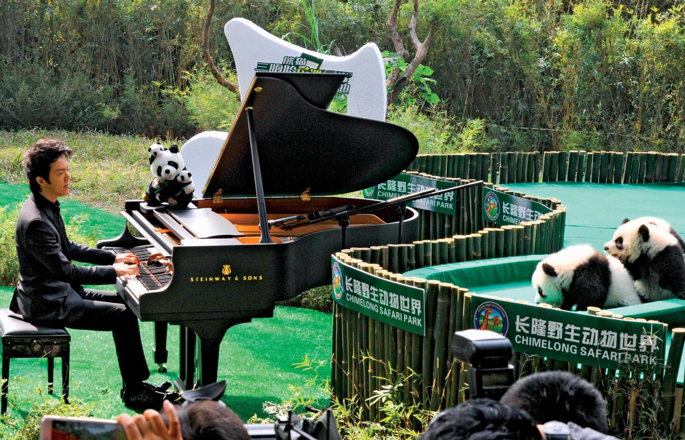 „W Chinach naukę gry na fortepianie uznaje się za istotny element ogólnej edukacji”.