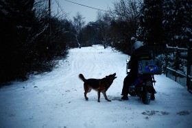 Zawsze podejrzliwe psy.