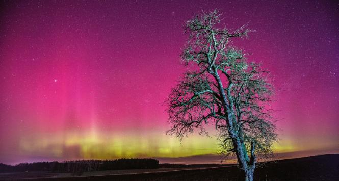 Zorza polarna nad Polską to prawdziwa rzadkość (na fot.: Charzykowy)