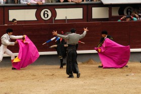 Widowiska co roku przyciągały kilkanaście milionów widzów.