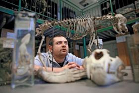 Dr Grzegorz Niedźwiedzki