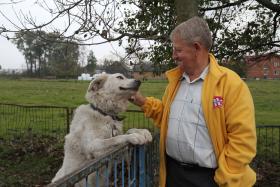 Janusz Mystkowski, Prezes Rady Nadzorczej Mlekovity.