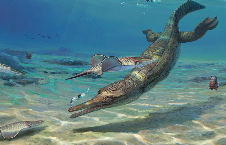 Turnersuchus hingleyae to niedawno odkryty gatunek krokodylomorfów morskich.