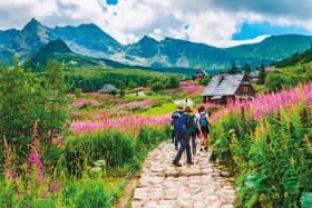 Polacy preferujący wypoczynek krajowy chętnie wybiorą się do Zakopanego i w Tatry. Na fot. Hala Gąsienicowa.