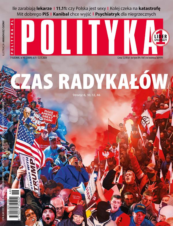 okładka - 2024 46 Polityka