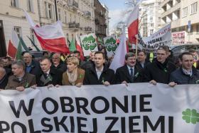 Obecnego prezesa PSL czasem nazywa się już likwidatorem masy upadłościowej. Może przedwcześnie, choć na horyzoncie na razie widać głównie kłopoty.