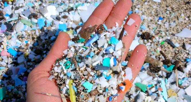 Od 2005 r. w bezprecedensowym tempie przybywa w oceanach zanieczyszczeń mikroplastikiem.