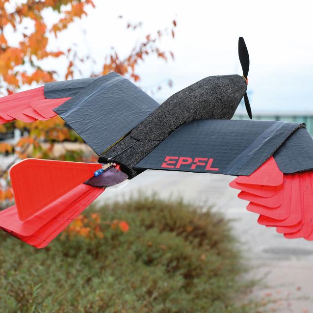 Dron z École polytechnique fédérale de Lausanne (Szwajcaria).