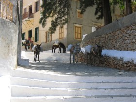 Wyspa i miasto Simi - życie codzienne.