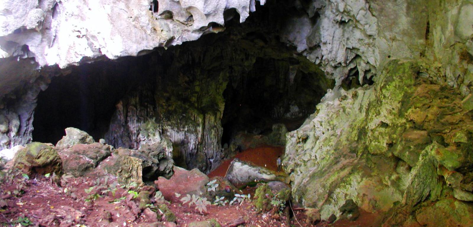 Południowe wejście do jaskini Tam Pà Ling.