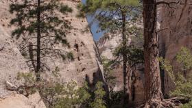 Niedostępne często nawet dziś, ale z innych powodów (skażenia, niewypałów).