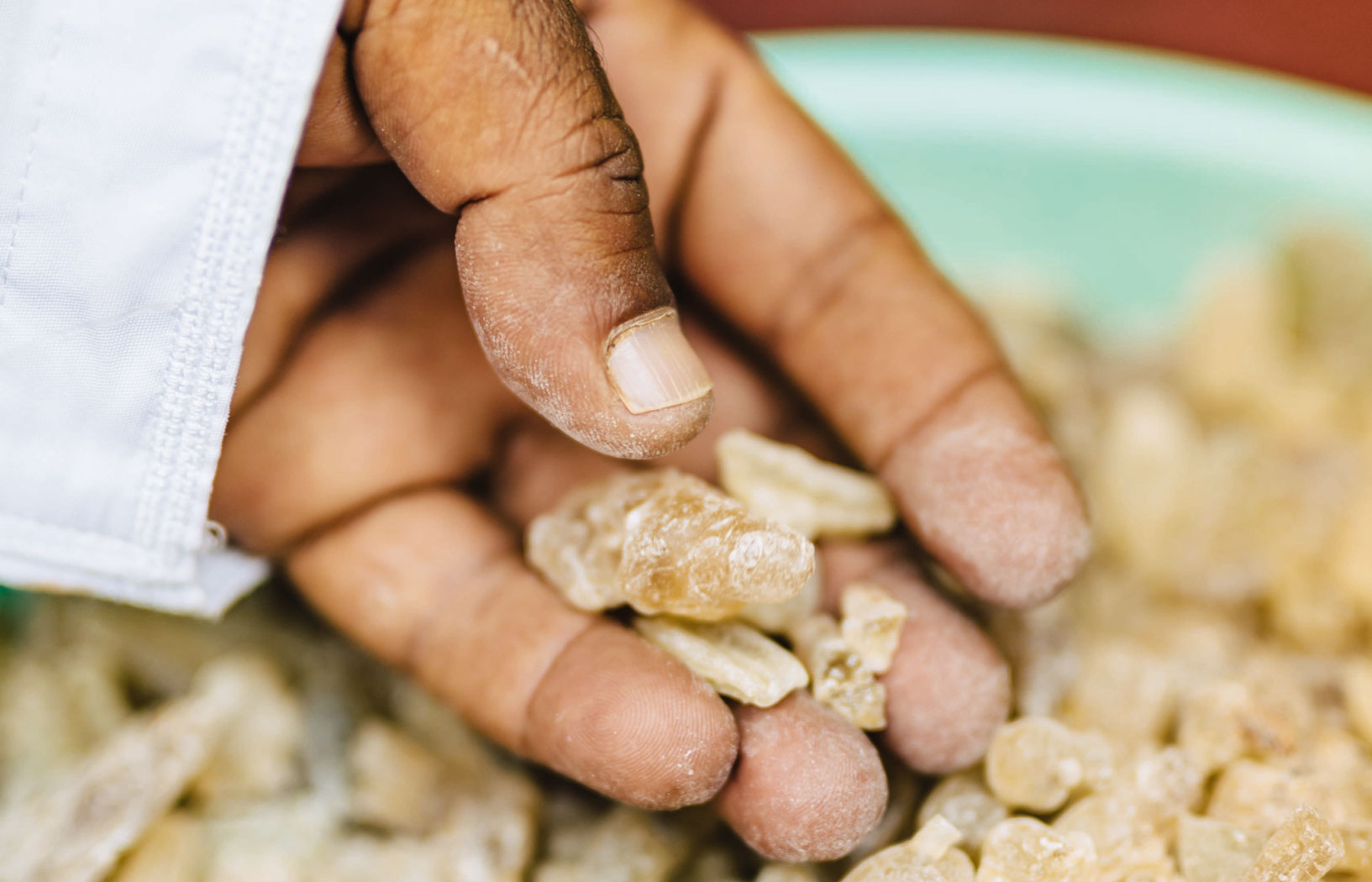 Królewski dar jałowej ziemi