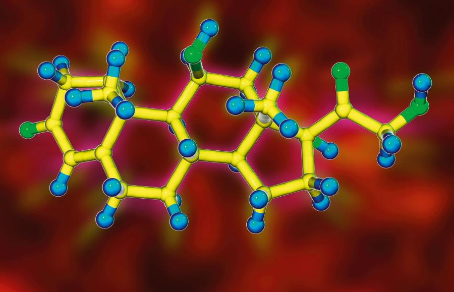 Cząsteczka kortyzolu zwanego hormonem stresu.
