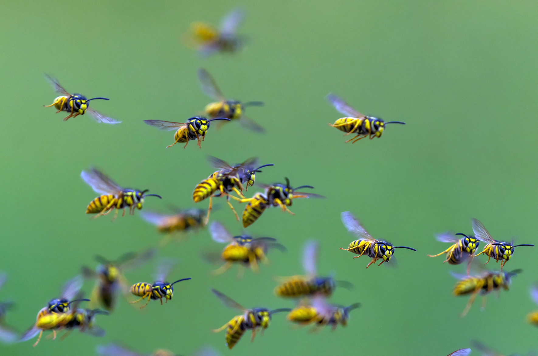 Roje AI to realne zagrożenie dla demokracji – alarmują eksperci. I proponują konkretne działania