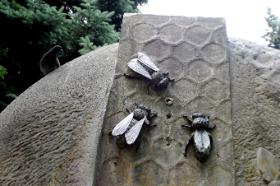 Pomnik pszczół w Kielcach stale pada ofiarą wandali. Kiedyś odlewy pszczół były z brązu, ale je ukradziono, nowe pszczoły wykonano z kamienia. Świętokrzyski Związek Pszczelarzy, fundator pomnika, twierdzi, że nie ma pieniędzy na strażnika.