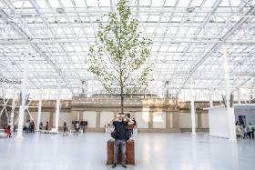 Projekt EDEN Olgi Kisselevej – opowieść o tym, jak komunikują się rośliny.