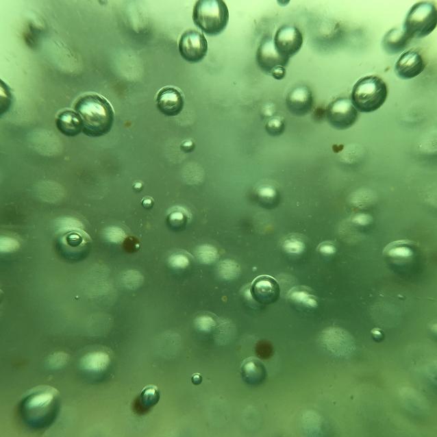 Pulsar - wyjątkowy portal naukowy.