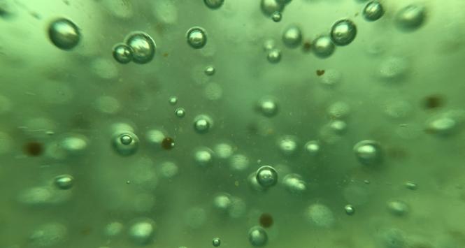 Pulsar - wyjątkowy portal naukowy.