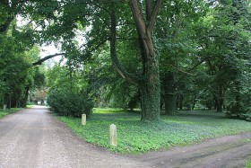 Park przy pałacu w Turwii. Jedno z tych miejsc, gdzie gościł cesarz Francuzów.