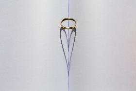 Na sologamię decydują się przede wszystkim Amerykanki, Kanadyjki i Brytyjki, a także mieszkanki Japonii czy Korei Południowej.