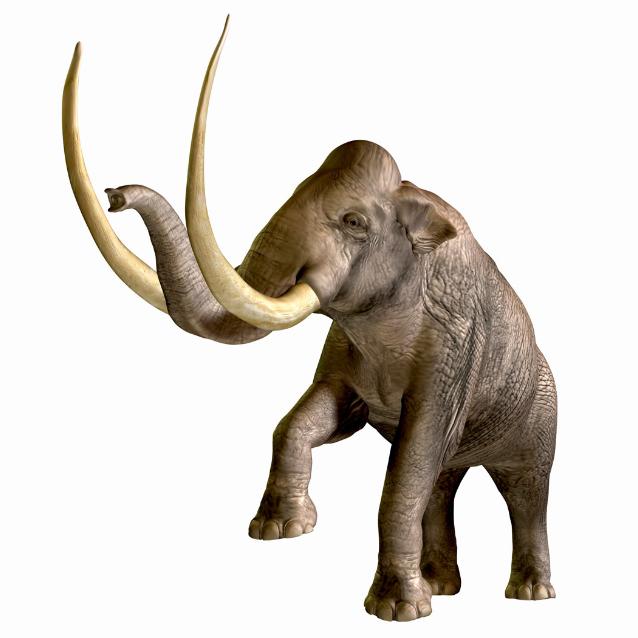 Mamut kolumbijski ­zamieszkiwał Amerykę Północną; był większy od mamuta włochatego.
