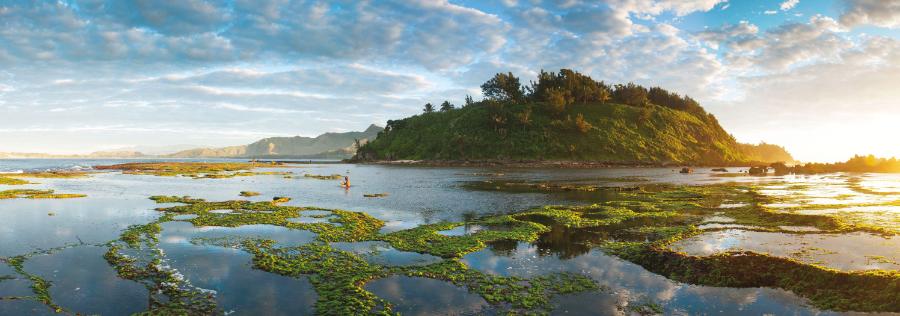 Wschód słońca nad Tôlanaro (Fort Dauphin) na Madagaskarze. Szacuje się, że pod nadbrzeżnymi lasami deszczowymi znajduje się tu około 70 mln ton ilmenitu.