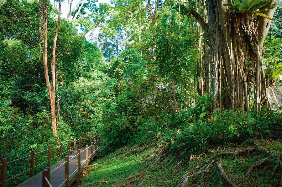 Bukit Timah, Singapur.