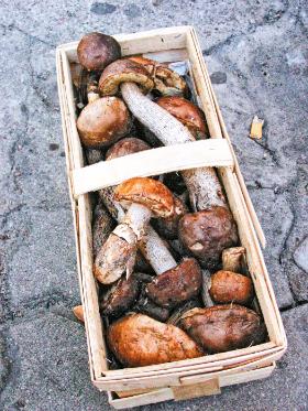 Za sprzedaż grzybów niejadalnych grozi w Polsce do 5 tys. zł grzywny.
