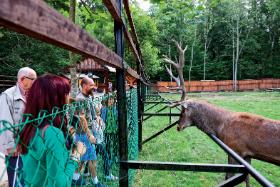 Turyści oczekują też kontaktu z przyrodą.
