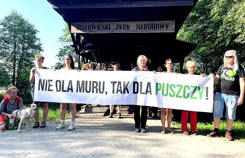 „Nie dla muru”. Protest w Białowieży