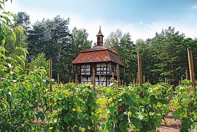 Ochla, skansen. Wieża winiarska z Budachowa