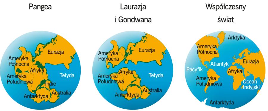 Alpy powstały w wyniku rozpadu superkontynentu Pangea (1); najpierw powstały kontynenty Laurazja i Gondwana (2), a te rozleciały się na mniejsze kawałki, które wędrowały po globie (3).