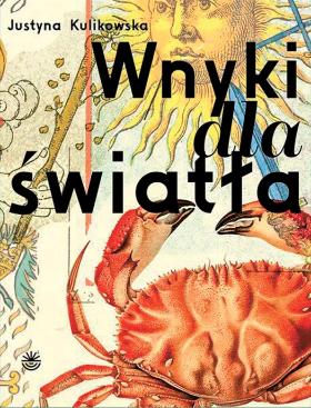 „Wnyki dla światła”, Wojewódzka Biblioteka Publiczna i Centrum Animacji Kultury w Poznaniu