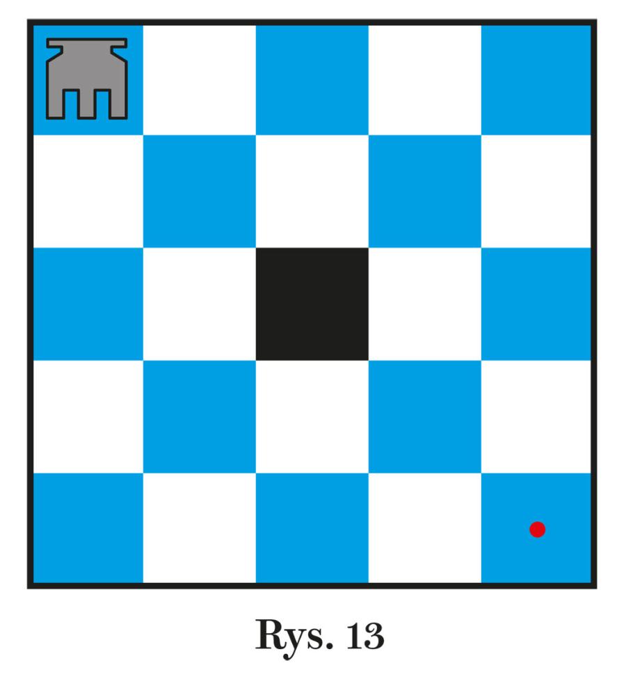 Rys. 13