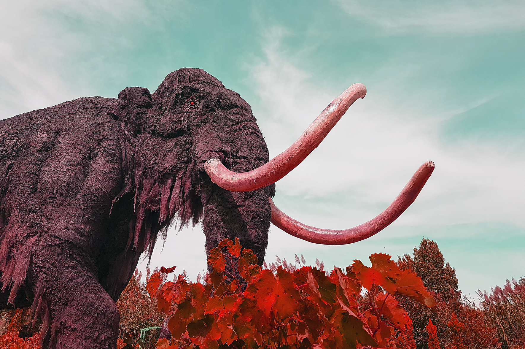 Najważniejsze w 2025 roku według Jolanty Iwańczuk