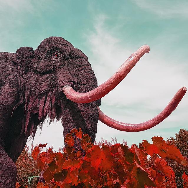 Najważniejsze w 2025 roku według Jolanty Iwańczuk