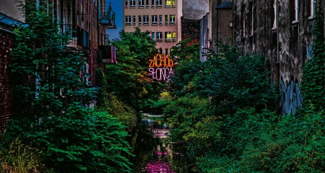 „Zachód Słońca w Mieście Ogrodów”, Katowice.