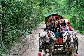 W lesie w okolicach Żabna. Co roku tabor odwiedza miejsca wojennych zbrodni dokonanych na Romach.