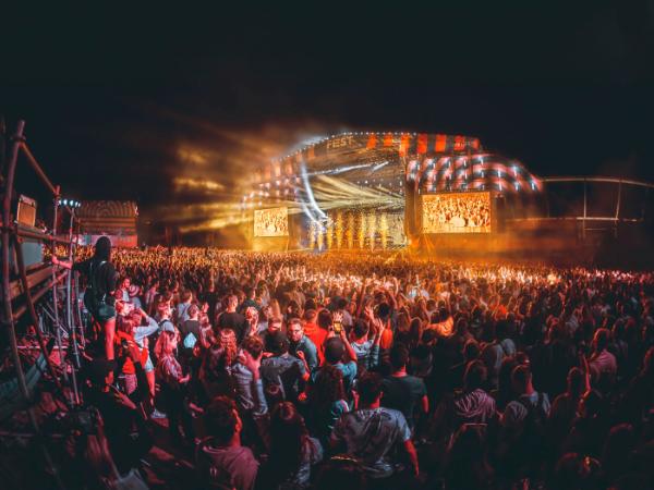 Fest Festival, edycja z 2022 r.