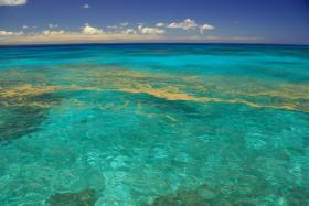 Rafa koralowa, Nowa Kaledonia. Jest to jeden z trzech najbardziej złożonych ekosystemów na świecie. Przez wzrost średniej temperatury mórz cały ekosystem rafy ulegnie zmianie, co negatywnie wpłynie na zamieszkujące go stworzenia.