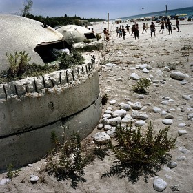 Plażowicze starają się je ignorować.